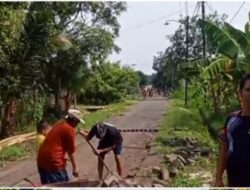 Tanpa Pengalihan Aset,Warga Kedungbondo Ambil Paving Daerah.