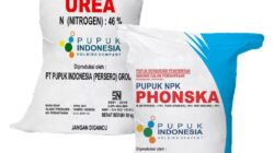 Sukses Penuhi Kebutuhan Petani, Penyaluran Pupuk Bojonegoro Tembus 90% Berkat Sistem ERDK.