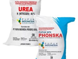 Sukses Penuhi Kebutuhan Petani, Penyaluran Pupuk Bojonegoro Tembus 90% Berkat Sistem ERDK.