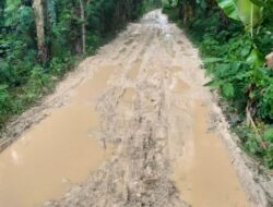 Skandal BKKD Bojonegoro Jalan Becek di Desa Mori Jadi Saksi Bisu Kegagalan Program Prioritas