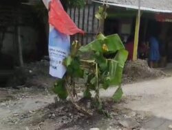 Proyek Jalan Vital PUK Purwosari–Tambakrejo Bojonegoro Diprotes Keras Warga: Lambat, Minim Transparansi, dan Tanpa Koordinasi Desa