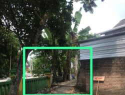 Arogansi Proyek BKKD Demi Jalan Alternatif, Pagar SDN Prigi 1 Dijebol Tanpa Izin, Langgar Aturan Aset Negara