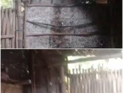 Viral Rumah Tak Layak Huni di Bojonegoro, Begini Hasil Pengecekan Pihak Kecamatan Baureno