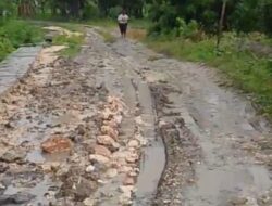 Menagih Janji di Balik Lumpur Tambakrejo Antara Proyek Drainase dan Nasib Petani yang Terabaikan