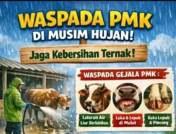 Disnakkan Bojonegoro Bergerak Cepat Lakukan Pengobatan, Desinfeksi, hingga Vaksinasi Massal Cegah PMK