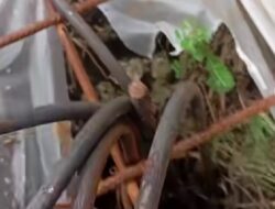 Mengurai Malapraktik Konstruksi Jalan Di Desa Kemiri