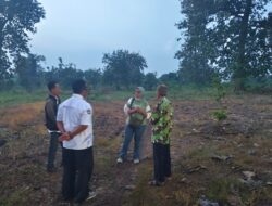 Dukung Ketahanan Pangan, Perhutani Bojonegoro Kawal Budidaya 800 Bibit Alpukat di Dander 