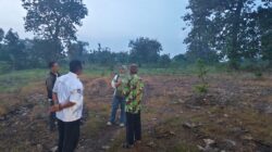 Bantuan 800 Bibit Alpukat di Kokobo Diduga Tak Sesuai Fakta