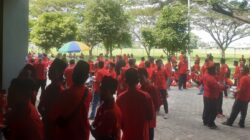 Dominasi Kader Muda dan Perempuan, Ribuan Pengurus PAC PDI Perjuangan Bojonegoro Siap Dilantik di GOR Ngumpakdalem 