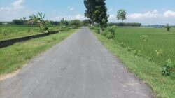 Jalan Mulus di Desa Bakung, Tapi Anggaran Desa “Terkuras” untuk Bahu Jalan 