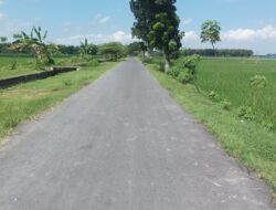 Jalan Mulus di Desa Bakung, Tapi Anggaran Desa “Terkuras” untuk Bahu Jalan 