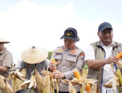 Ikuti Panen Raya Jagung via Jaringan Virtual, Polres Bojonegoro Perkuat Ketahanan Pangan