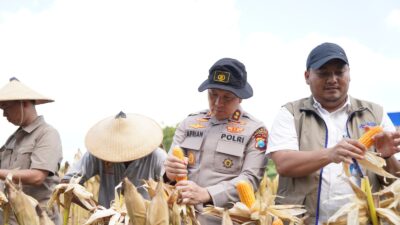 Ikuti Panen Raya Jagung via Jaringan Virtual, Polres Bojonegoro Perkuat Ketahanan Pangan