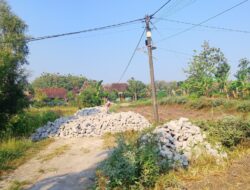 Proyek Dana Desa Tambakrejo Amburadul Material Telantar Sebulan, Kades Malah Ngaku Lupa Anggaran