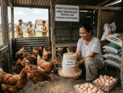 Jawab Keluhan Peternak ‘Gayatri’, Disnakkan Bojonegoro Siapkan Subsidi Pakan APBD-P dan Wajibkan ASN Beli Telur Rp 25 Ribu