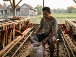 Menakar Rp 87 Miliyar Program Gayatri, Kemandirian Ekonomi atau Ketergantungan Baru? 