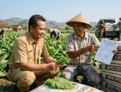 ​DKPP Bojonegoro Buka Suara Soal Program Hibah Pupuk Tembakau Rp9,01 Miliar Efisiensi Anggaran dan Kualitas Terjamin