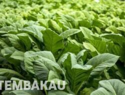 DKPP Bojonegoro Klaim Hibah Pupuk Rp9 Miliar Sesuai Prosedur, Pemerhati Minta Transparansi dan Efektivitas Program Diperkuat   