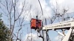 Respons Keluhan Warga, Dinas PU Cipta Karya Bojonegoro ‘Gercep’ Perbaiki Lampu PJU di Jalan Kalirejo – Semanding    