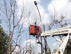 Respons Keluhan Warga, Dinas PU Cipta Karya Bojonegoro ‘Gercep’ Perbaiki Lampu PJU di Jalan Kalirejo – Semanding    