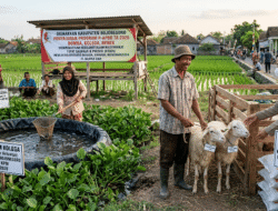 Disnakkan Bojonegoro Siapkan Strategi Matang Eksekusi Rp10 Miliar di P-APBD 2026