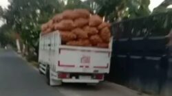 Truk Hibah KDMP Desa Sumbangtimun Diduga Sering Dipakai untuk Bisnis Pribadi